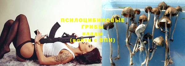 Альфа ПВП Дмитровск