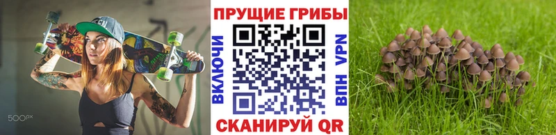 Псилоцибиновые грибы мухоморы  Купить  Белебей 